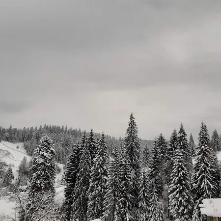 Ubytování v soukromí Dikiy Zrub