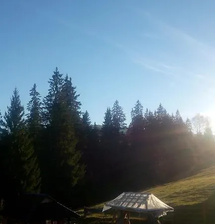 Dikiy Zrub * Vorochta