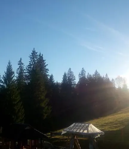 Dikiy Zrub * Vorokhta